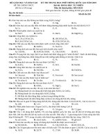 4 DE THPT MON HOA NAM 2019