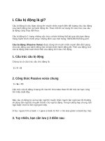 câu bị đọng và bài tập và đáp án chi tiết