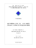 Quy Trình Sản Xuất Nước Giải Khát Có Gas Tại Công Ty Tân Quang Minh
