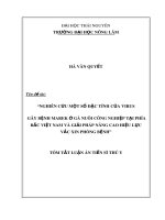 Tóm tắt Luận án tiến sĩ Thú y: Nghiên cứu một số đặc tính của virus gây bệnh Marek ở gà nuôi công nghiệp tại phía Bắc Việt Nam và giải pháp nâng cao hiệu lực vắc xin phòng bệnh