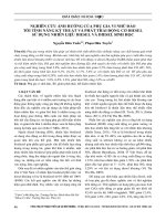 Nghiên cứu ảnh hưởng của phụ gia vi nhũ đảo tới tính năng kỹ thuật và phát thải động cơ diesel sử dụng nhiên liệu diesel và diesel sinh học