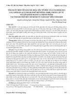 Tần suất một số gen mã hóa yếu tố độc của Escherichia coli sinh β-lactamase phổ mở rộng (ESBL) phân lập từ người khỏe mạnh và bệnh phẩm tại thành phố Hồ Chí Minh từ năm 2017 đến