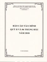Báo cáo tài chính quý 2 và 6 tháng đầu năm 2018 - Công ty cổ phần Việt Nam Kỹ nghệ Súc sản