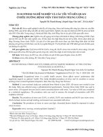 Stress nghề nghiệp và các yếu tố liên quan ở điều dưỡng Bệnh viện Tâm thần Trung ương 2