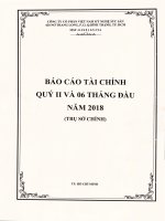 Báo cáo tài chính quý 2 và 6 tháng đầu năm 2018 - Công ty cổ phần Việt Nam Kỹ nghệ Súc sản (Trụ sở chính)