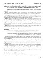 Báo cáo ca lâm sàng điều trị u hắc tố bẩm sinh khổng lồ vùng da đầu có tóc bằng phương pháp giãn mô