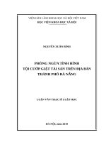 Phòng ngừa tình hình tội cướp giật tài sản trên địa bàn thành phố Đà Nẵng