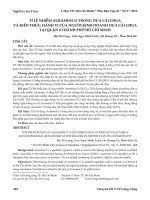 Tỉ lệ nhiễm Auramine O trong dưa cải chua và kiến thức, hành vi của người kinh doanh dưa cải chua tại quận 8 thành phố Hồ Chí Minh