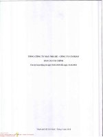 Báo cáo tài chính cho kỳ hoạt động từ ngày 01/01/2018 đến ngày 31/03/2018 - Tổng Công ty may Nhà Bè (Công ty cổ phần)