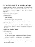 Cách kiểm tra báo cáo tài chính doanh nghiệp