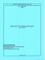 Báo cáo tài chính hợp nhất quý 2 năm 2019 - Công ty cổ phần Nhựa An Phát Xanh