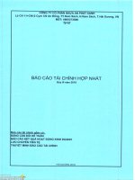 Báo cáo tài chính hợp nhất quý 3 năm 2019 - Công ty cổ phần Nhựa An Phát Xanh