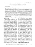 Xác định chiều dài băng ván mỏng trong quá trình bóc gỗ