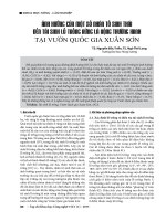 Ảnh hưởng của một số nhân tố sinh thái đến tái sinh lỗ trống rừng lá rộng thường xanh tại Vườn Quốc gia Xuân Sơn