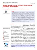 Tổng hợp hạt Oxide sắt từ trên bề mặt nano tinh thể Cellulose bằng phương pháp đồng kết tủa