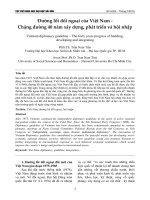 Đường lối đối ngoại của Việt Nam - Chặng đường 40 năm xây dựng, phát triển và hội nhập