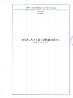 Báo cáo tài chính riêng quý 4 năm 2019 - Công ty cổ phần Nhựa An Phát Xanh