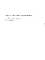 Báo cáo tài chính hợp nhất quý 4 năm 2019 - Công ty cổ phần tập đoàn đầu tư Địa ốc NoVa