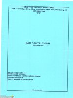 Báo cáo tài chính quý 3 năm 2019 - Công ty cổ phần Nhựa An Phát Xanh