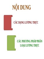 CÔNG NGHỆ CHẾ BIẾN LƯƠNG THỰC