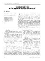 Giáo dục ngôn ngữ ở các vùng dân tộc thiểu số Việt Nam