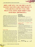 Điều chế xúc tác dị thể cao từ nguồn nguyên liệu phế phẩm và ứng dụng làm xúc tác cho phản ứng tổng hợp nhiên liệu sinh học (Biodiesel)