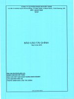 Báo cáo tài chính quý 2 năm 2019 - Công ty cổ phần Nhựa An Phát Xanh