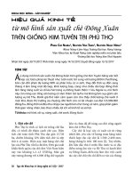 Hiệu quả kinh tế từ mô hình sản xuất chè Đông Xuân trên giống Kim Tuyên tại Phú Thọ