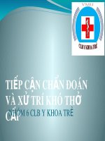 Bài giảng Tiếp cận chẩn đoán và xử trí khó thở cấp