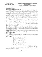 Đề thi thử THPT Quốc gia lần 1 môn Ngữ văn năm 2020 có đáp án - Sở GD&ĐT Nghệ An