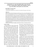 Ảnh hưởng của mật độ trồng đến sinh trưởng và chất lượng rừng trồng Mỡ (Manglietia conifera) tại vùng đệm Vườn Quốc gia Xuân Sơn