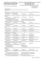 Đề thi thử THPT Quốc gia môn Địa lí năm 2020 có đáp án - Sở GD&ĐT Hà Tĩnh (Mã đề 001)