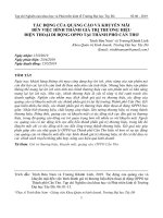 Tác động của quảng cáo và khuyến mãi đến việc hình thành giá trị thương hiệu điện thoại di động OPPO tại thành phố Cần Thơ