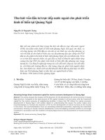 Thu hút vốn đầu tư trực tiếp nước ngoài cho phát triển kinh tế biển tại Quảng Ngãi
