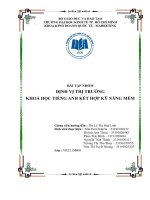 Bai tiểu Luận định vị thị trường Khóa Học tiếng anh kết hợp kỹ năng mềm