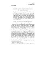 Các Chúa Nguyễn với chính sách dung hòa tôn giáo ở Đàng Trong