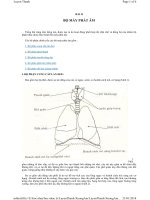 Thanh nhạc lý thuyết và thực hành - Bài 2: Bộ máy phát âm