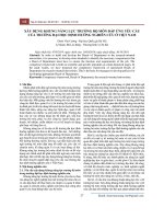 Xây dựng khung năng lực trưởng bộ môn đáp ứng yêu cầu của trường đại học định hướng nghiên cứu ở Việt Nam