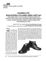 Nghiên cứu ảnh hưởng của điều kiện chế tạo lên tính chất của vật liệu sử dụng chế tạo đế giầy chịu xăng, dầu, mỡ bằng hỗn hợp (Blend) cao su acrylonitril (NBR) và nhựa nhiệt dẻo