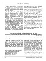 Những thách thức mà sinh viên điều dưỡng gặp phải tại môi trường học tập lâm sàng tại Đại học Quốc tế Hồng Bàng năm 2019