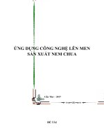 Tiểu luận ứng dụng công nghệ lên men sản xuất nem chua