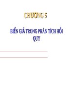 Bài giảng Kinh tế lượng - Chương 5: Biến giả trong phân tích hồi quy  (2019)