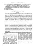 Ảnh hưởng hành vi lãnh đạo đến phát triển nguồn nhân lực ngành du lịch ở tỉnh Quảng Ngãi