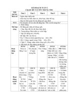 giáo án khối mầm non nhỡ 5 tháng đến 7 tháng chủ đề bé VUI tết TRUNG THU 