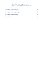 Stock index future trading strategies full