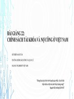 Bài giảng Kinh tế học vĩ mô: Lý thuyết và ứng dụng chính sách - Bài giảng 22