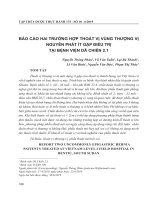 Báo cáo hai trường hợp thoát vị vùng thượng vị nguyên phát ít gặp điều trị tại bệnh viện dã chiến 2.1