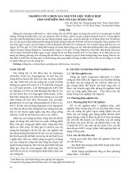 Nghiên cứu chọn lựa nguyên liệu thích hợp cho chế biến trà túi lọc măng tây