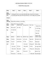 TUẦN 19 HOA TRONG vườn(ng) 