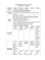 giáo án mầm non chủ đề  cây XANH 